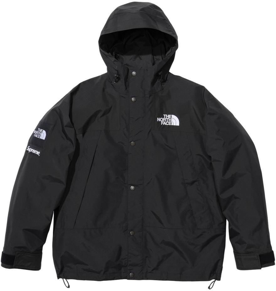 Supreme®/The North Face® Mountain Jacket view 17